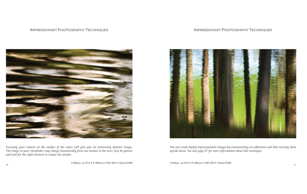 IMPRESSIONIST PHOTOGRAPHY TECHNIQUES sample pages